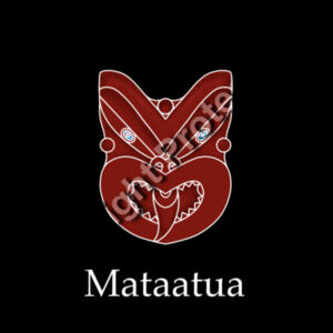 Mataatua - Kids Egmont Hoodie Design